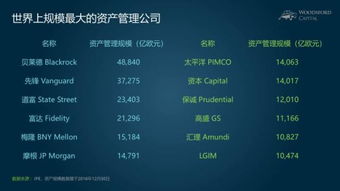 小烏龜學(xué)投資系列七 撥開迷霧，慧眼識(shí)珠——如何比較與區(qū)分海外股權(quán)投資機(jī)構(gòu)